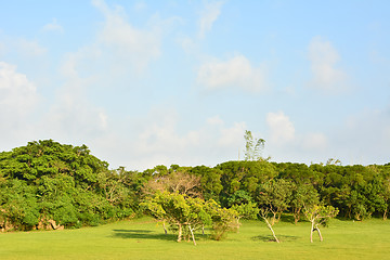 Image showing Beautiful countryside