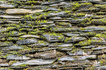 Image showing Stone wall with green moss