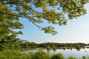 Image showing Lake with wood