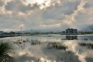 Image showing Landscape with a swamp