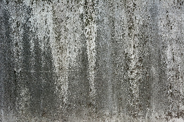 Image showing Old wall grunged texture