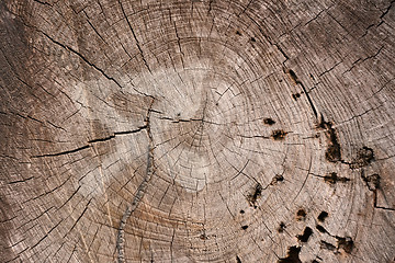 Image showing Old wooden texture