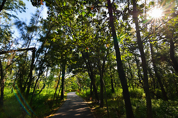 Image showing Taitung Forest Park