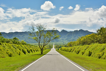 Image showing Rural landscape with road