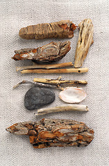 Image showing Beach treasures