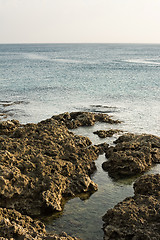 Image showing Rocky coastline