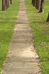 Image showing Walkway in Park