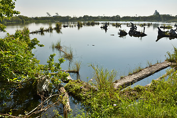 Image showing Lake landscape