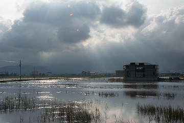 Image showing Landscape with a swamp