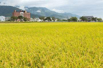 Image showing Golden rural scenery