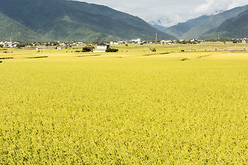 Image showing Idyllic rural scenery