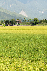 Image showing Idyllic rural scenery