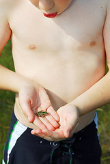 Image showing Boy holding a frog