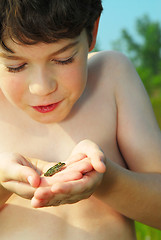 Image showing Boy with a frog