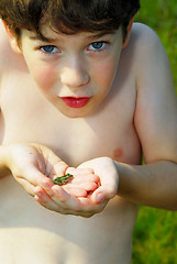 Image showing Boy holding a frog