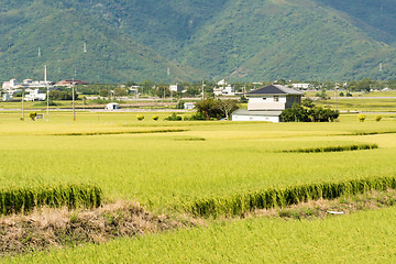 Image showing Idyllic rural scenery