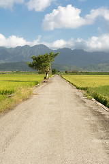 Image showing road and farm