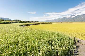 Image showing Rural scenery