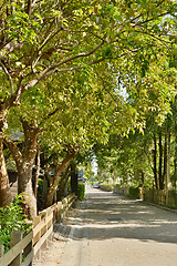 Image showing Street road with tree