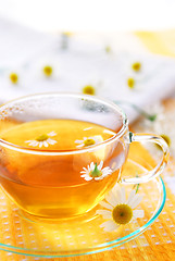 Image showing Chamomile tea