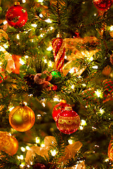 Image showing Christmas tree background