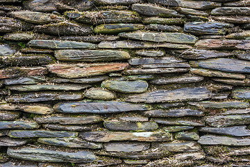 Image showing Stone wall with green moss