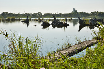 Image showing Lake with wood