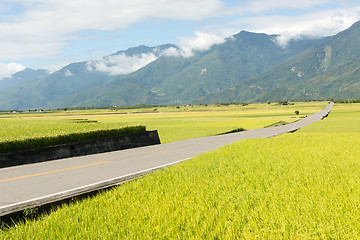 Image showing Road in rural