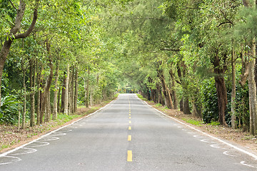 Image showing road at forest