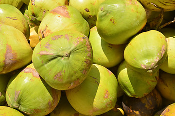 Image showing Coconuts