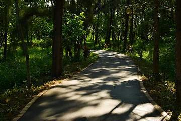 Image showing Taitung Forest Park