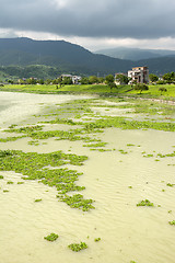 Image showing Contaminated overgrown river