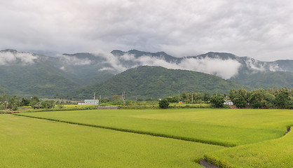 Image showing Panoramic rural scenery