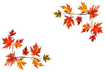 Image showing Autumn frame