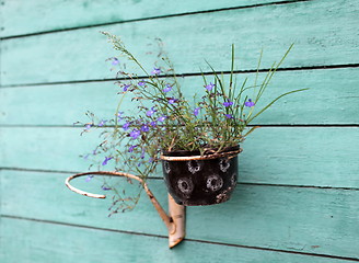 Image showing flower pot with flowers