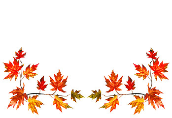 Image showing Autumn frame