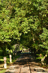 Image showing Railway through forest