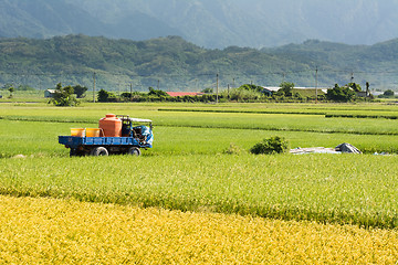 Image showing Golden rural scenery