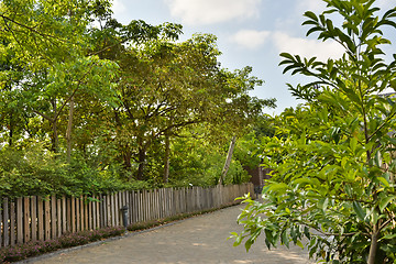 Image showing Country road along a wooden fence