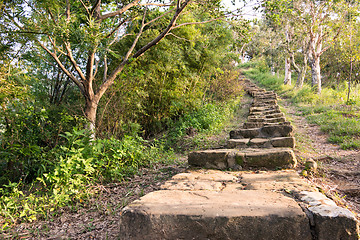Image showing Forest pathway with stairs
