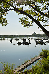 Image showing Lake with wood