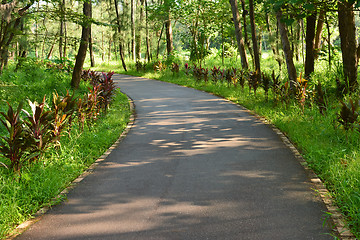 Image showing Taitung Forest Park