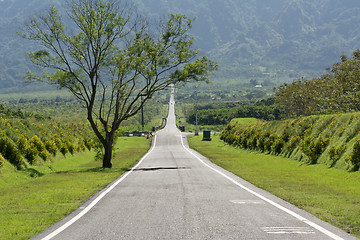 Image showing road with nobody