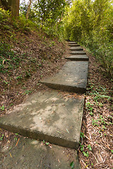 Image showing mountain trail under sunlight