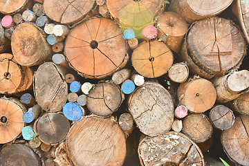 Image showing Pile of wood logs