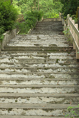 Image showing Beautiful stairway in the park