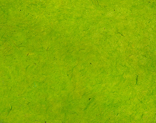 Image showing Green handmade asian paper texture