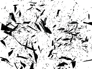 Image showing Pieces of black Shattered glass on white