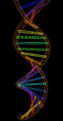 Image showing DNA structure model