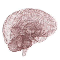 Image showing Creative concept of the human brain